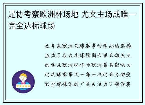 足协考察欧洲杯场地 尤文主场成唯一完全达标球场